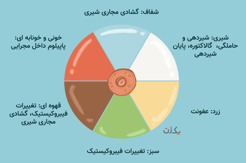 ترشحات نوک سینه